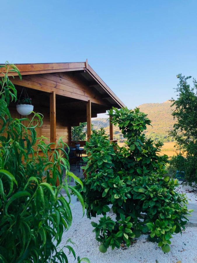 Вилла Happy Glamping Cy Agios Theodoros Экстерьер фото