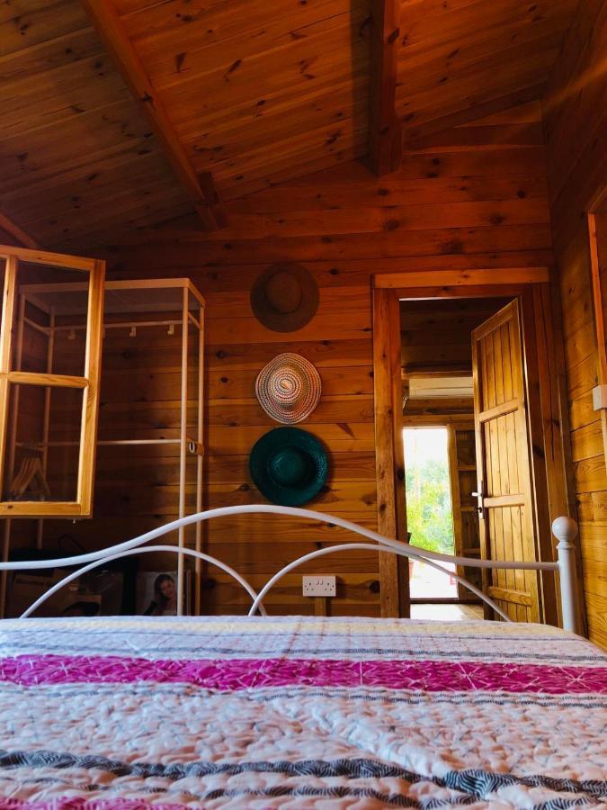 Вилла Happy Glamping Cy Agios Theodoros Экстерьер фото