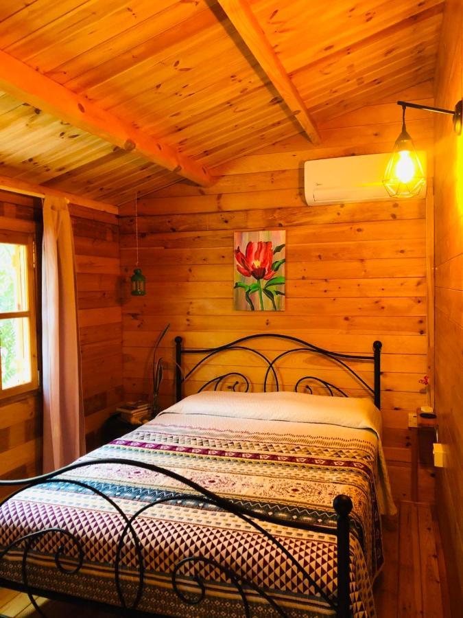 Вилла Happy Glamping Cy Agios Theodoros Экстерьер фото