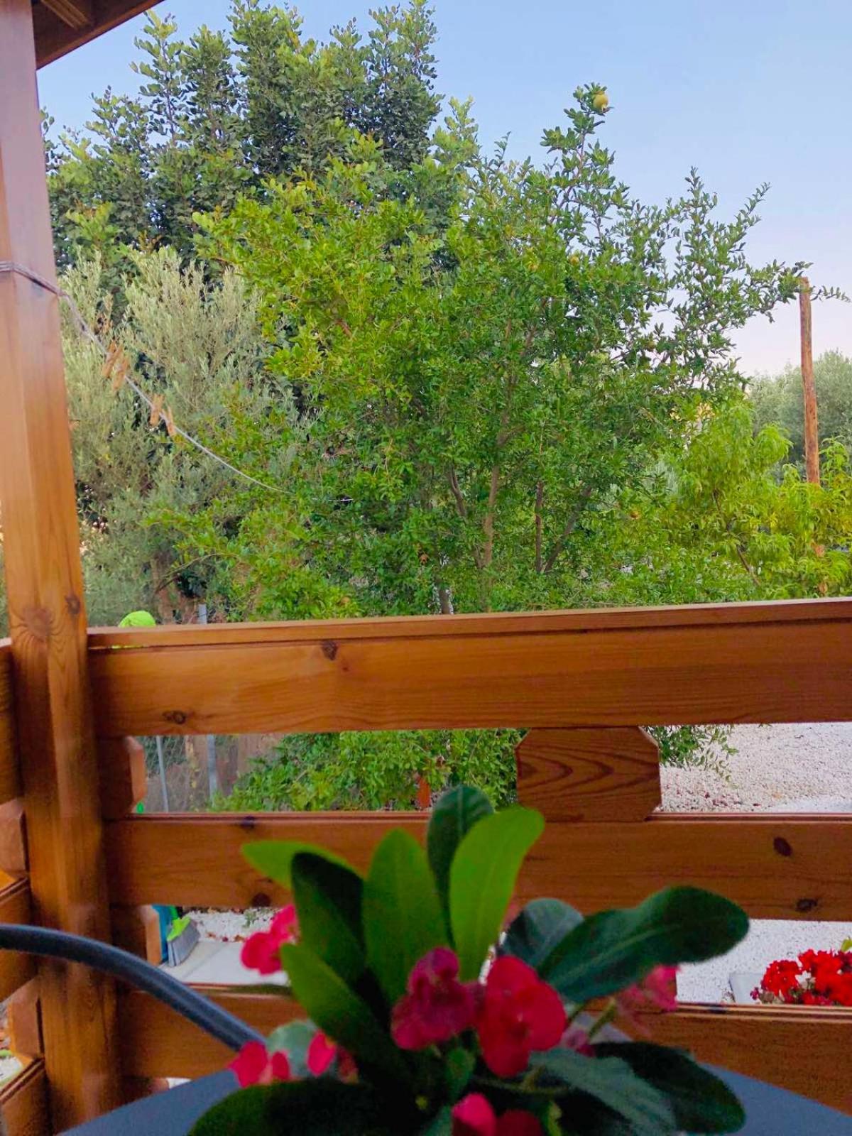 Вилла Happy Glamping Cy Agios Theodoros Номер фото