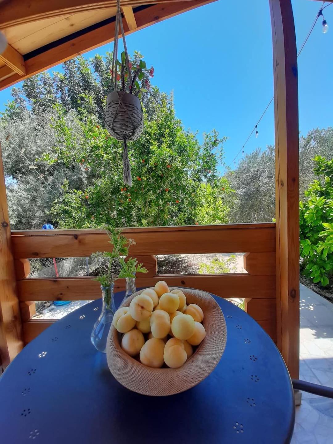 Вилла Happy Glamping Cy Agios Theodoros Экстерьер фото